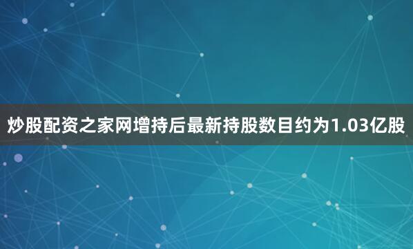 炒股配资之家网增持后最新持股数目约为1.03亿股