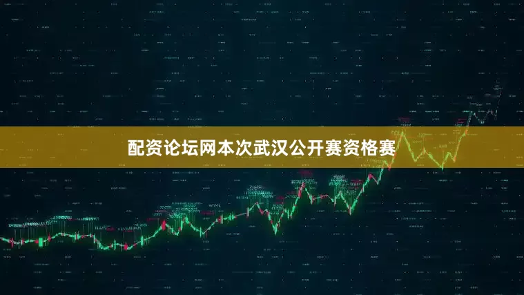 配资论坛网本次武汉公开赛资格赛