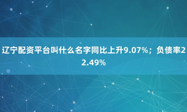 辽宁配资平台叫什么名字同比上升9.07%；负债率22.49%