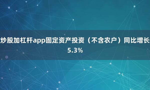 炒股加杠杆app固定资产投资（不含农户）同比增长5.3%