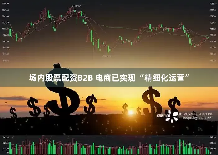 场内股票配资B2B 电商已实现 “精细化运营”