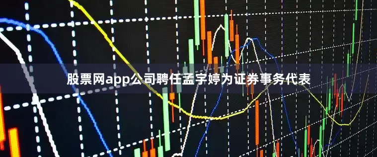 股票网app公司聘任孟宇婷为证券事务代表